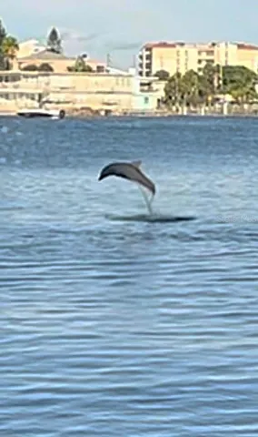 Views from you window.