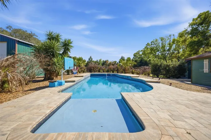 Pool with Sun shelf