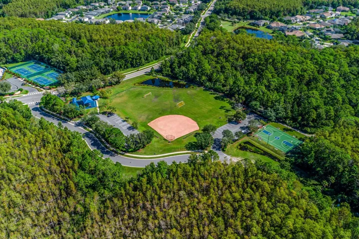 Sport fields, basketball courts.