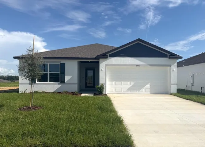 Welcome to 31563 Wild Grape Lane!