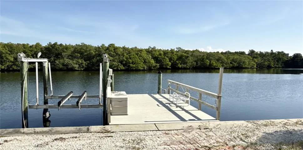 Composite dock and lift