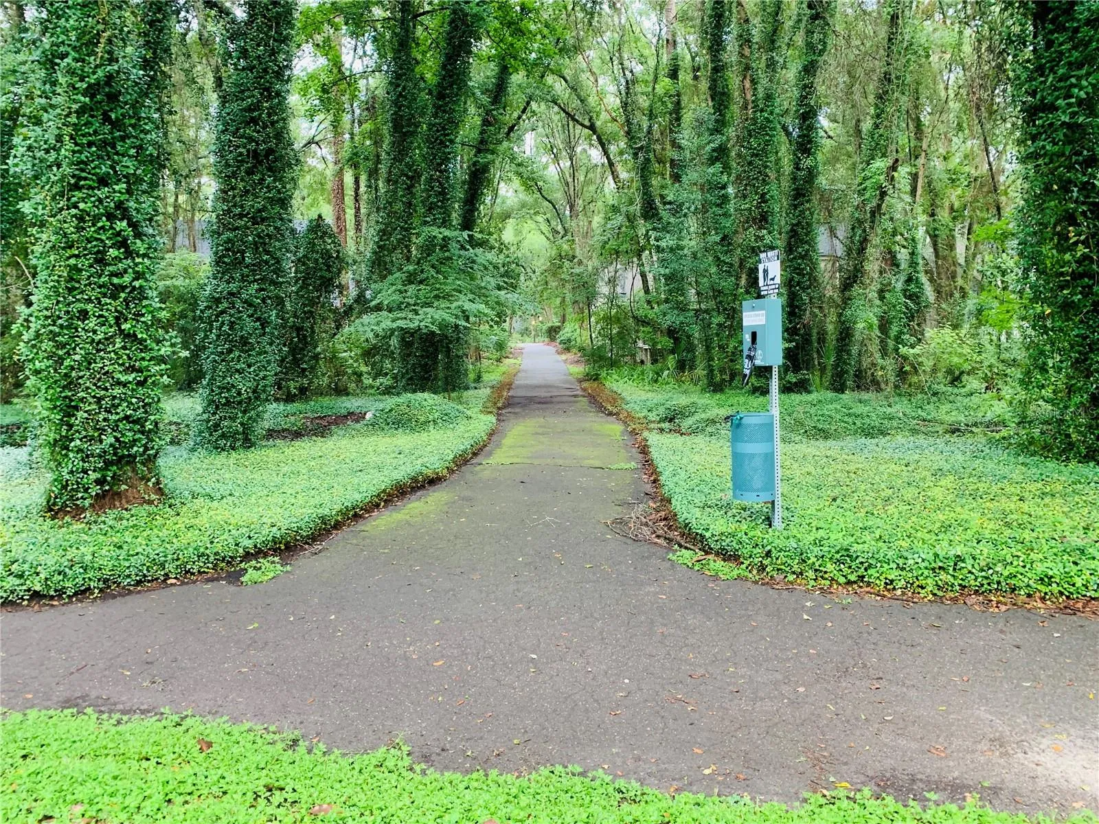 Haile Plantation walking trails