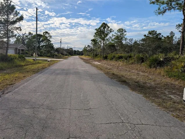 Paved Street in Front of Vacant Lot