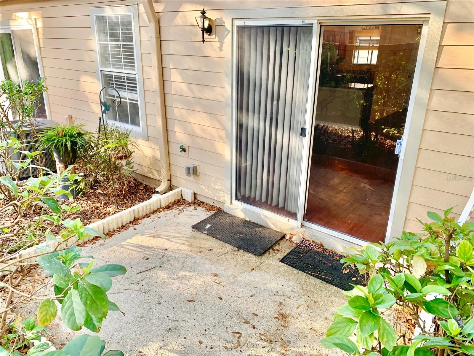 Back Patio