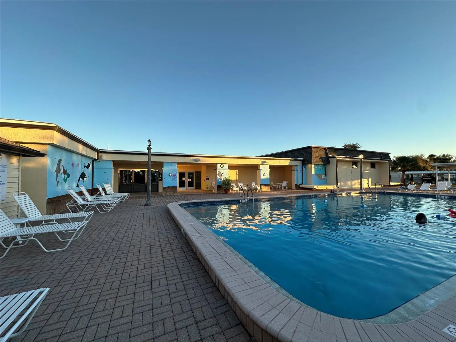 Pool 1