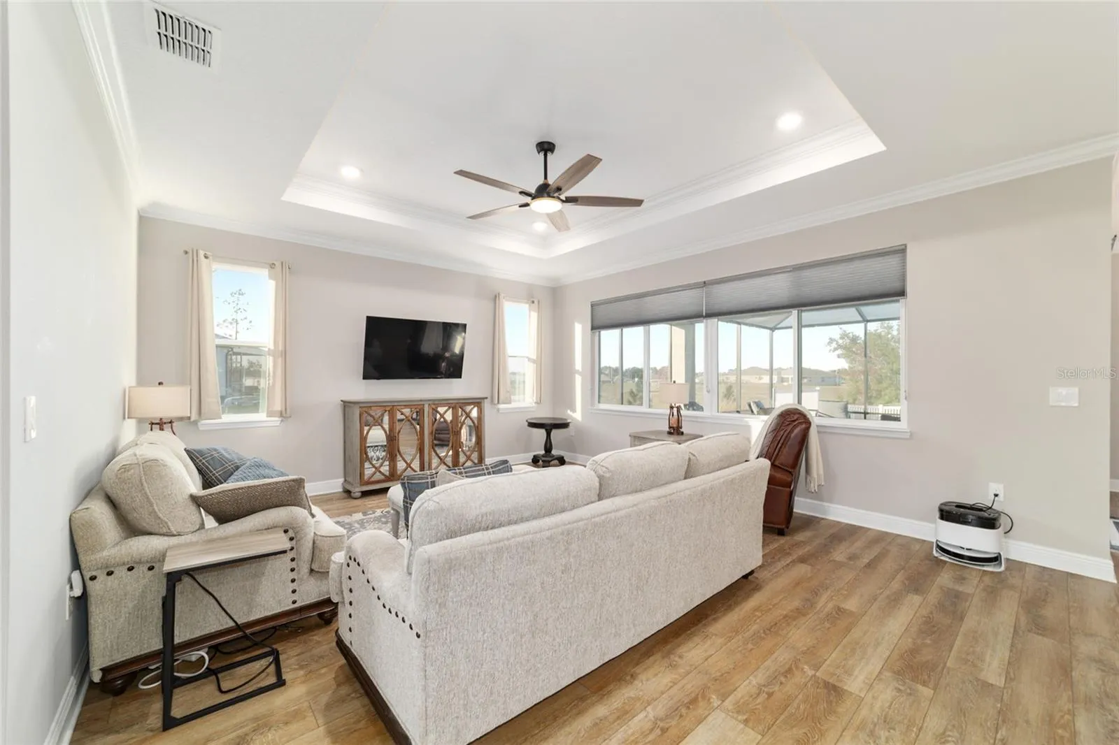 Tray Ceiling in Great Room