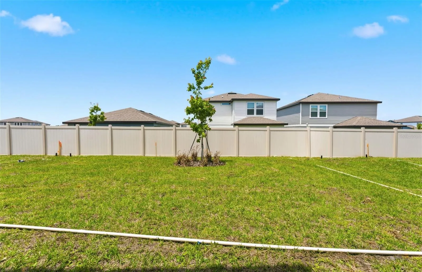 Spacious Backyard