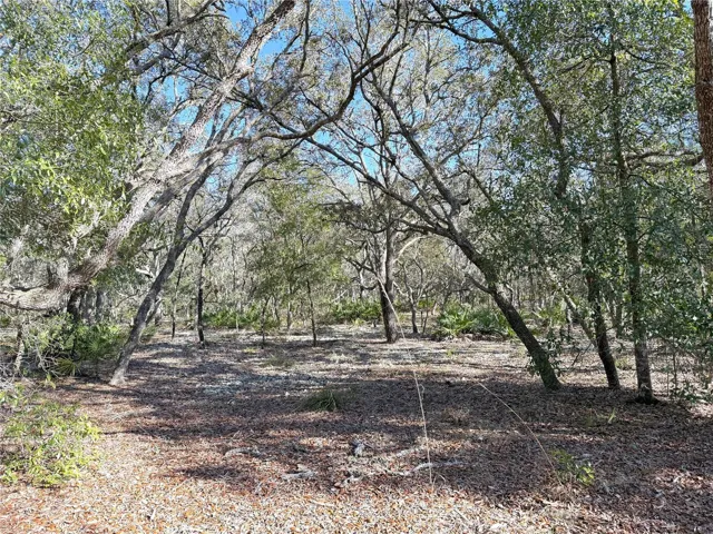 2.41-acre lot
