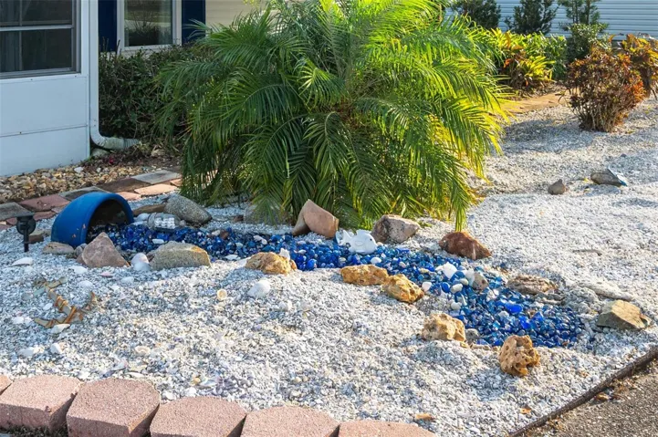 Part of Front Yard