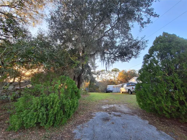 Driveway, front view
