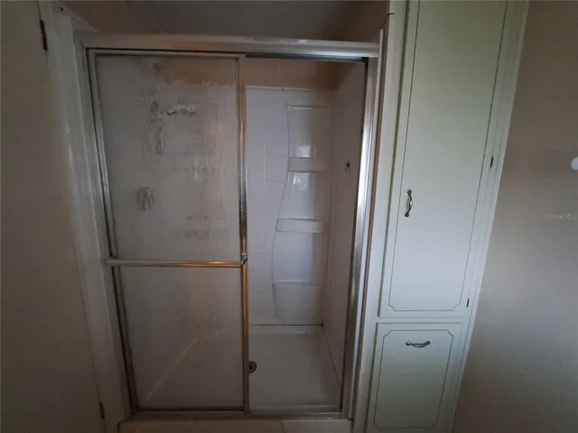 Master Walk in Shower