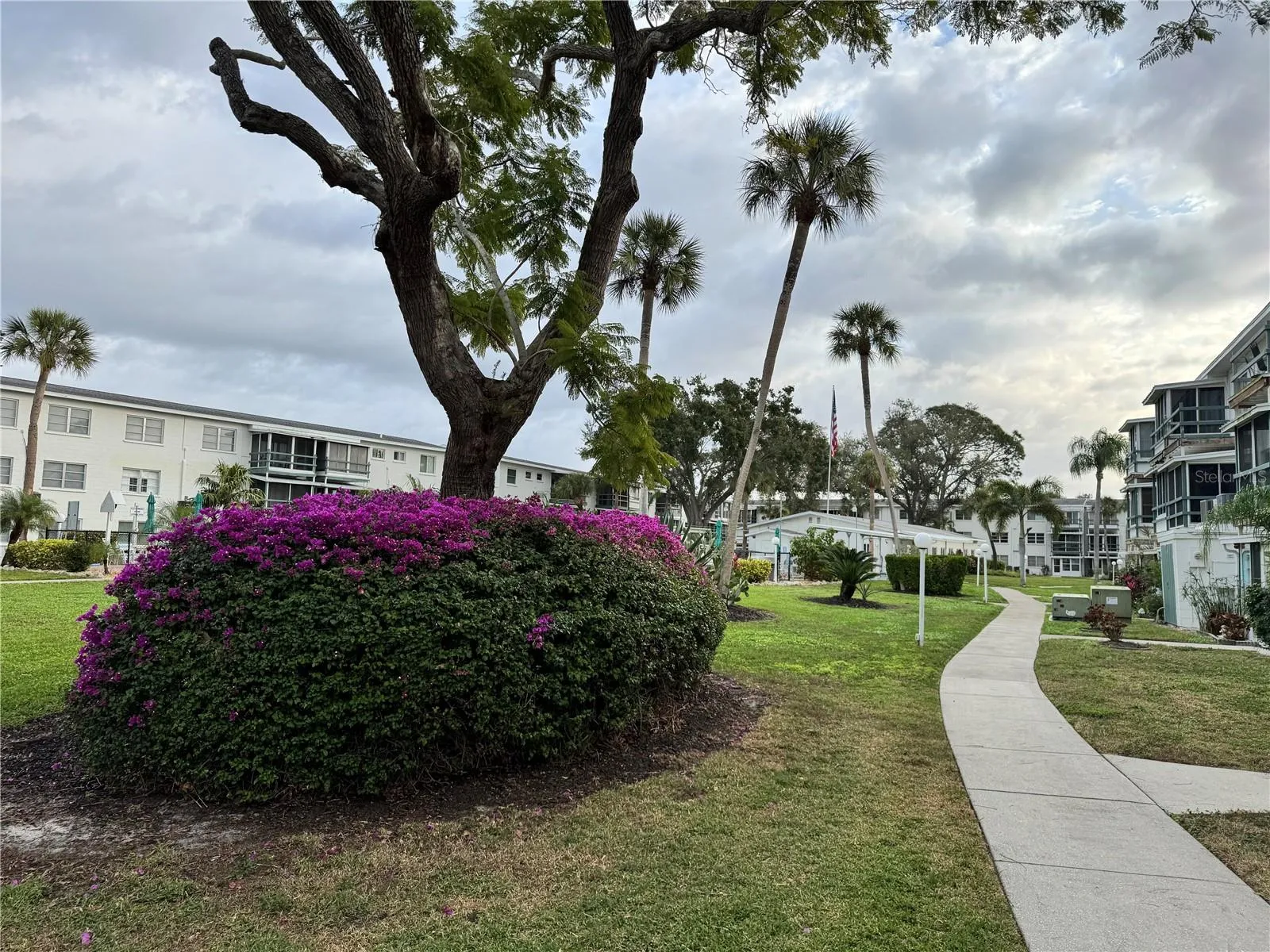 Court yard walking area
