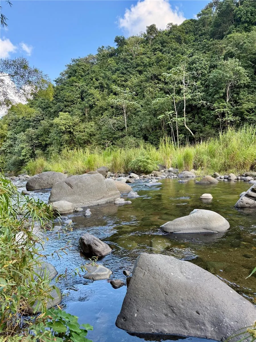 River rocks