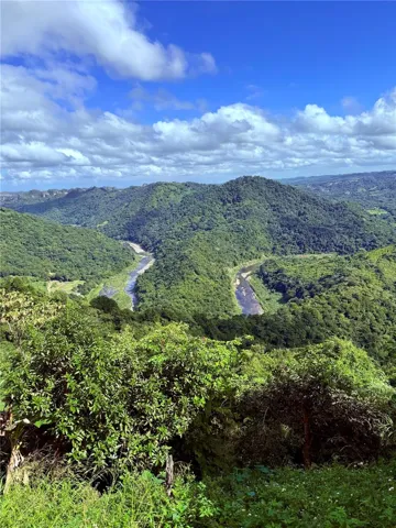 River pic from street view