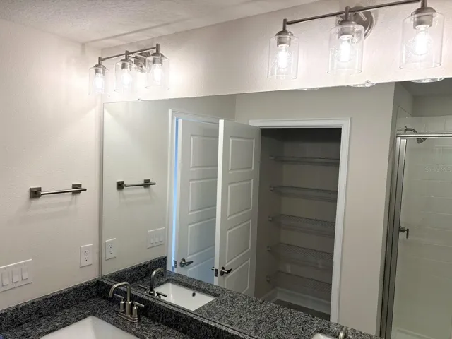 Bathroom Vanity and Shower