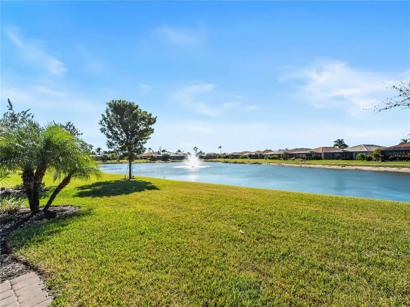 Pond in Backyard