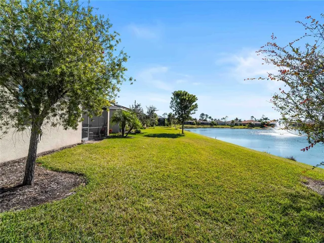 Pond in Backyard
