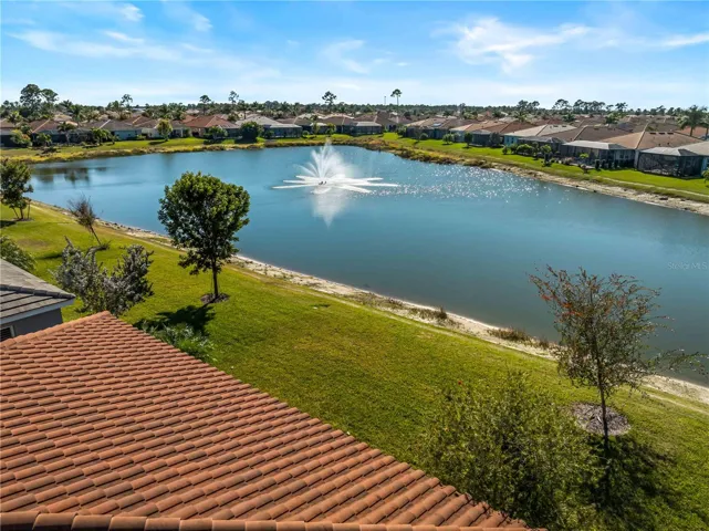 Aerial View of the Pond