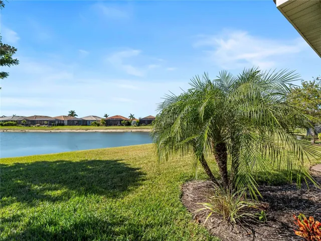 Pond in Backyard