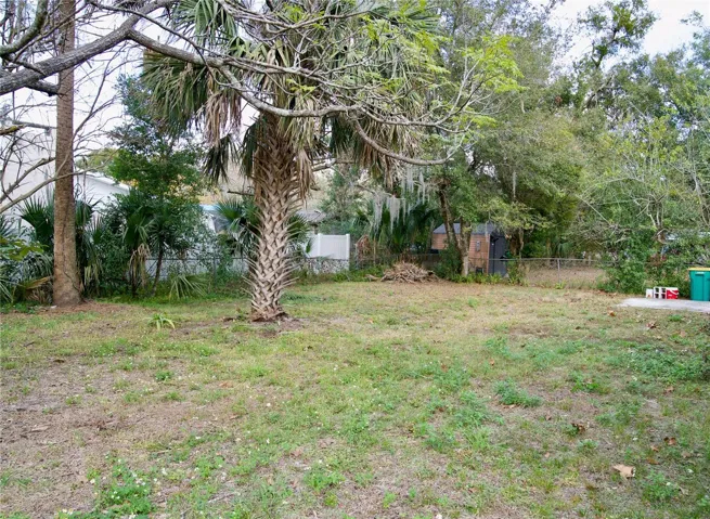 BACK YARD