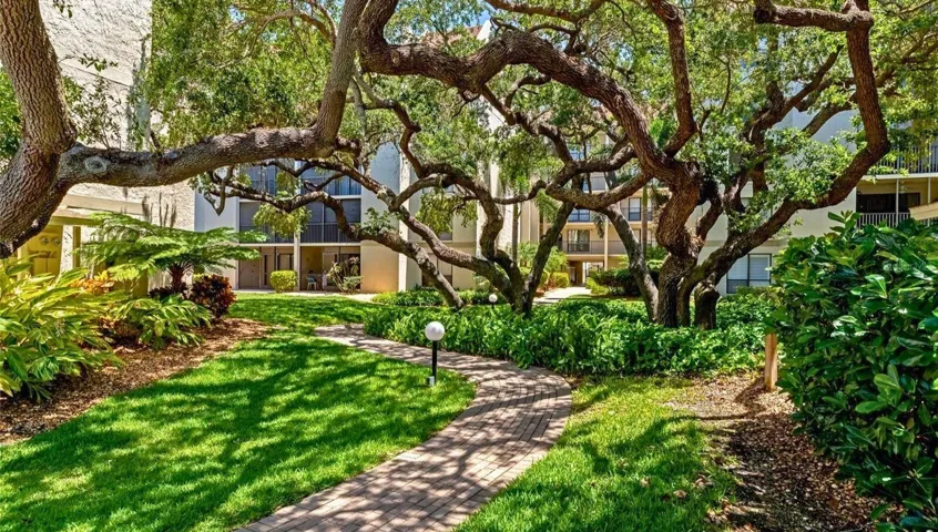 Majestic Oaks Line the Grounds