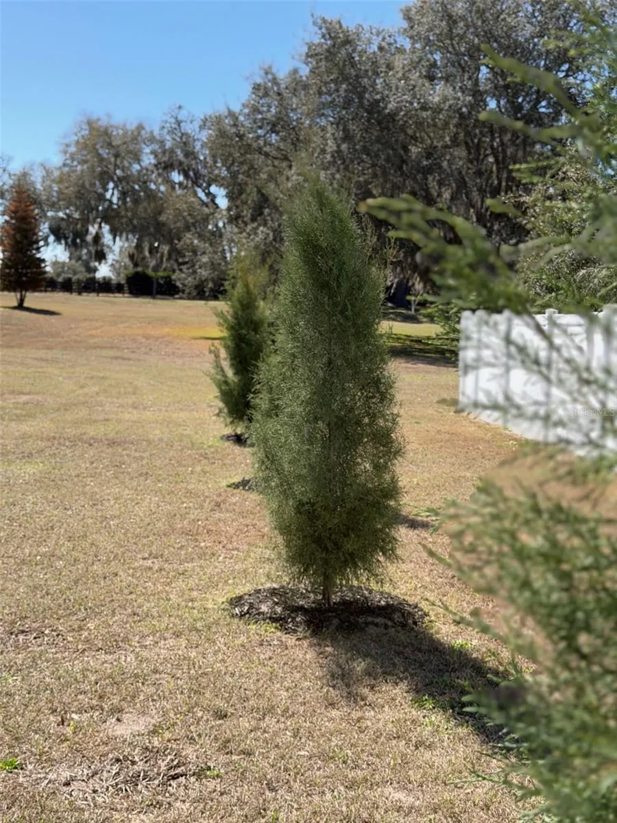 Southern Red Cedar and Leyland Cypress trees planted along the perimeter will provide added privacy with growth from 40-90' over the next few years.