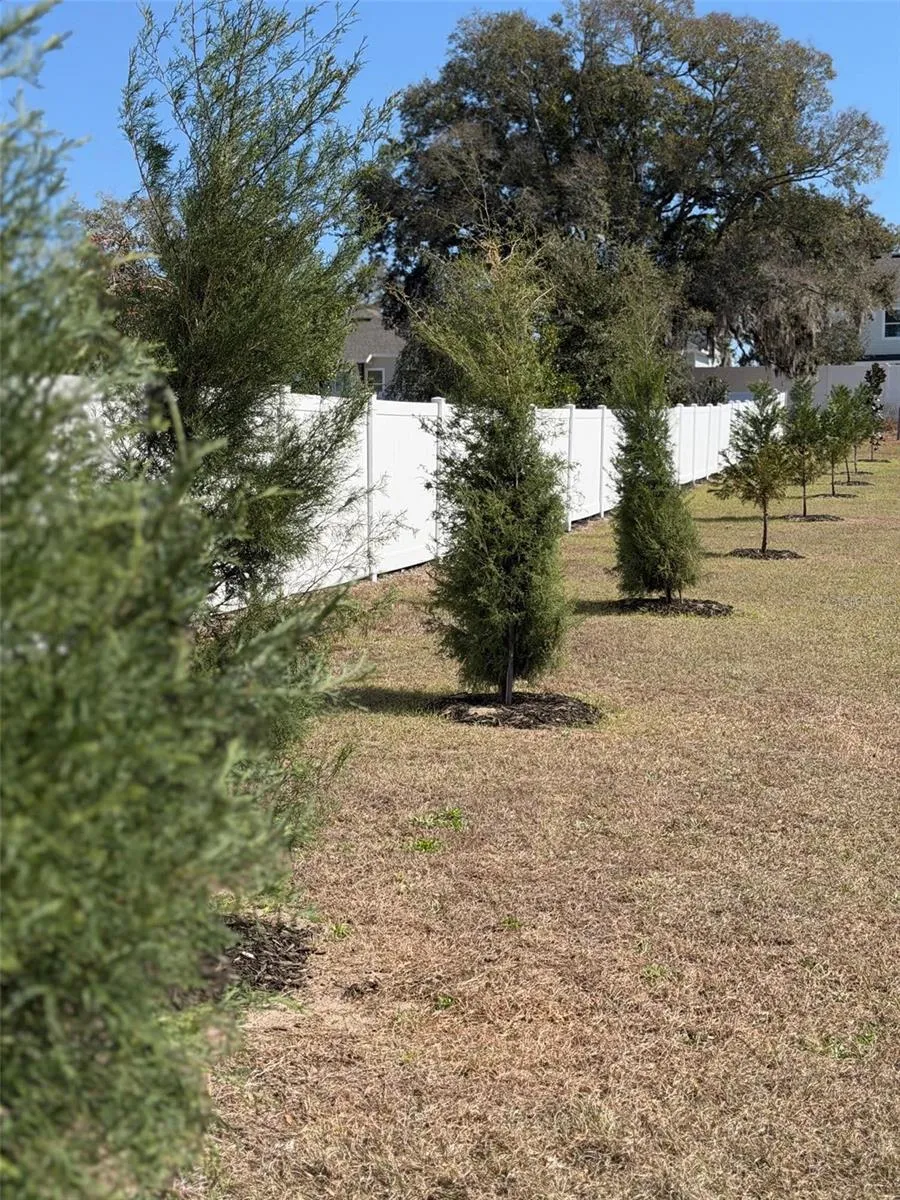 Southern Red Cedar and Leyland Cypress trees planted along the perimeter will provide added privacy with growth from 40-90' over the next few years.