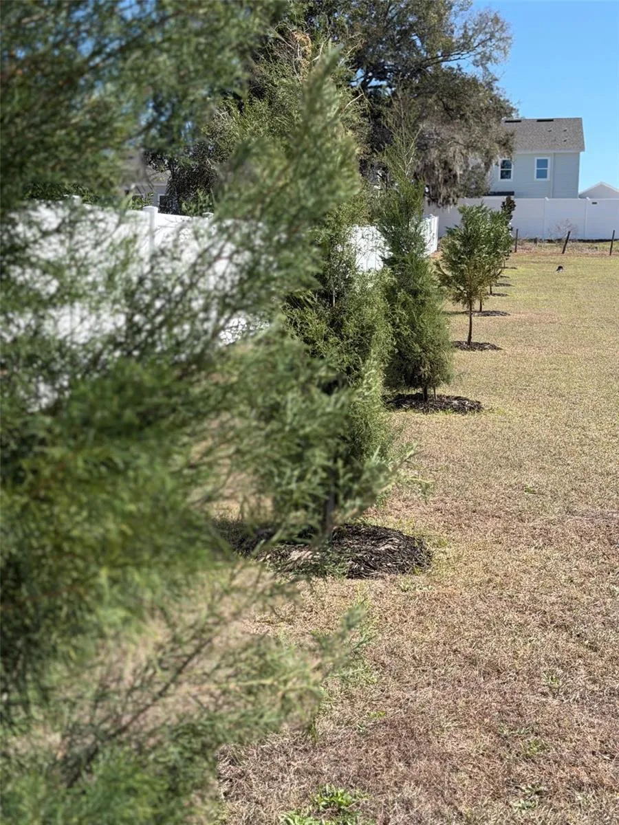 Southern Red Cedar and Leyland Cypress trees planted along the perimeter will provide added privacy with growth from 40-90' over the next few years.
