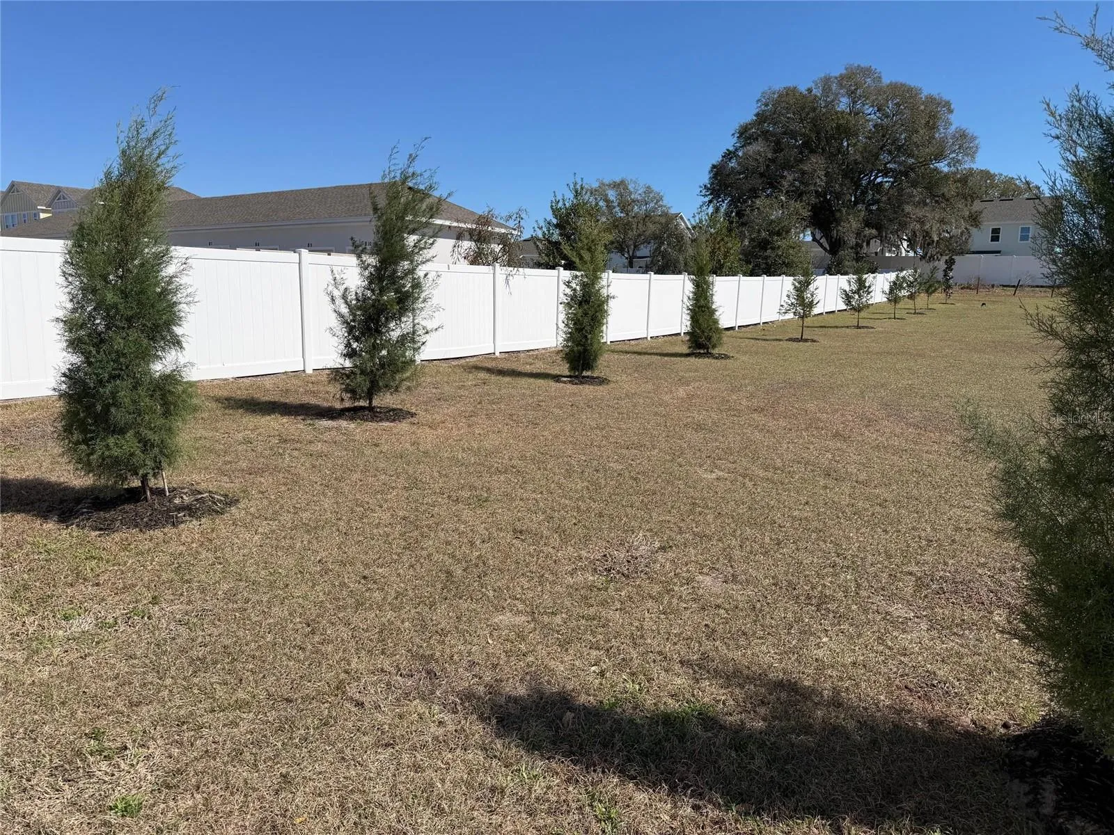 Southern Red Cedar and Leyland Cypress trees planted along the perimeter will provide added privacy with growth from 40-90' over the next few years.