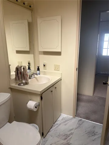 2nd bathroom with natural light from skylight.