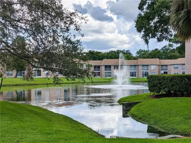 Pond