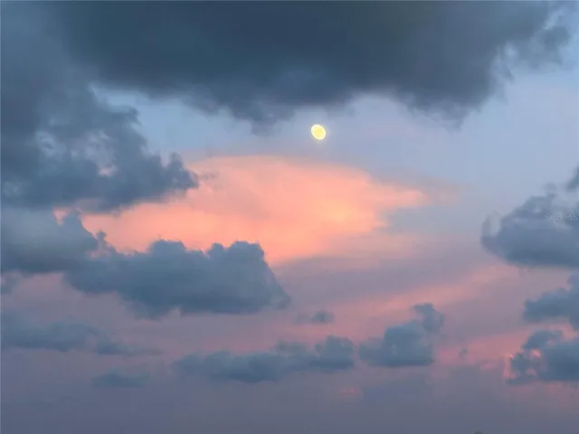 Enjoy moonlit nights on the sand