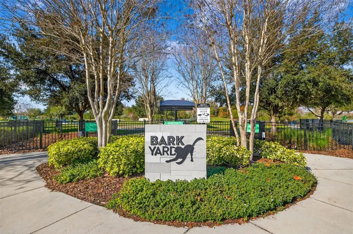 Dog Park