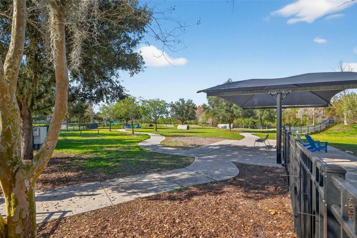 Dog Park