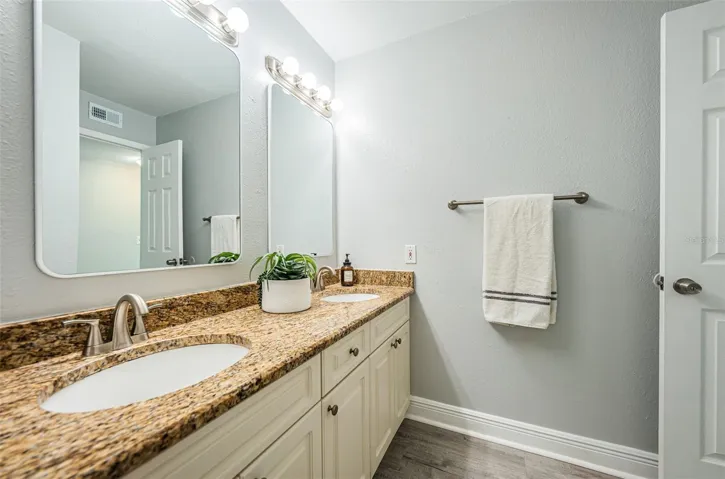 Jack and Jill Bathroom 2