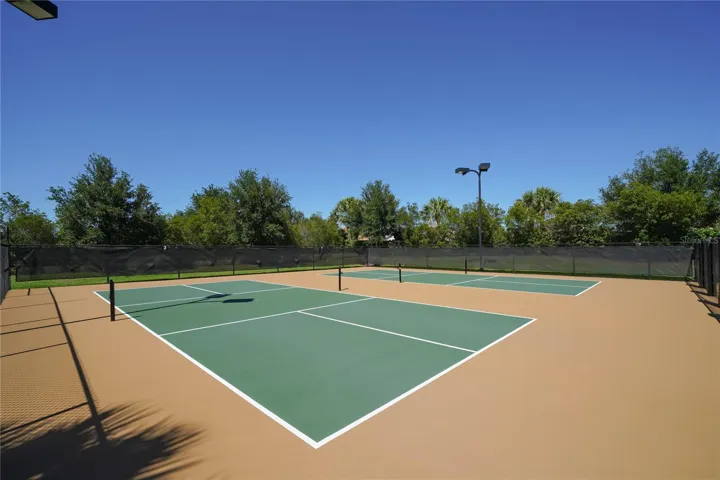 Pickle ball