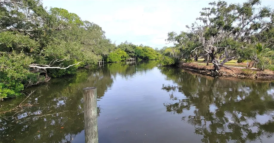 View from Dock Looking North
