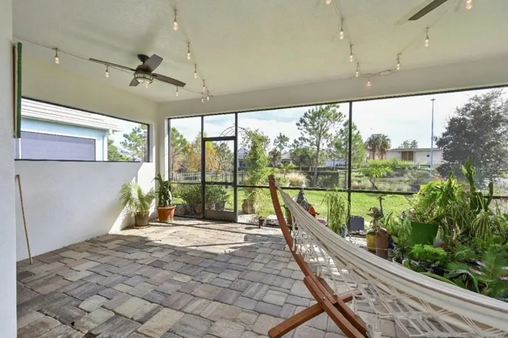 plants have been virtually removed from photo