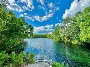 Homosassa Springs, Bridgeview