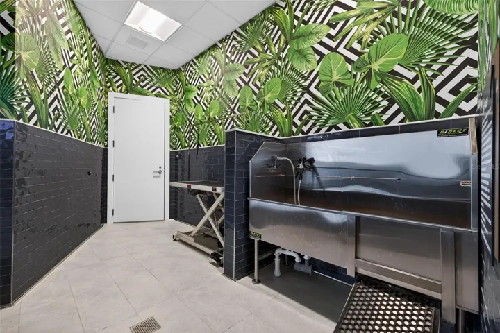 Pet Grooming Area
