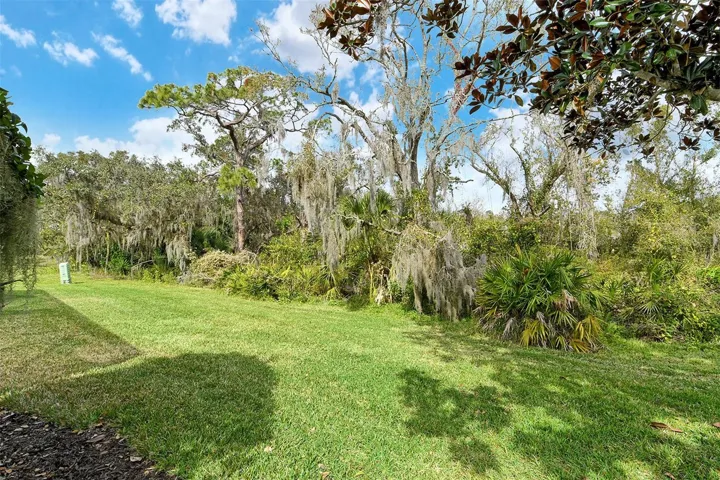 Backyard/View