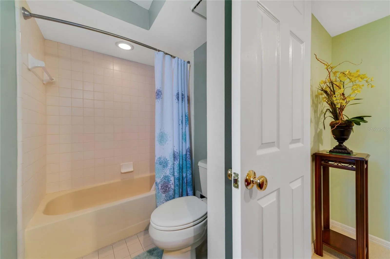 Guest Bath with Tub