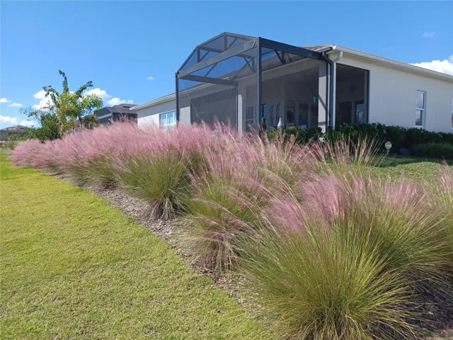 Beautiful Upgraded Landscaping!