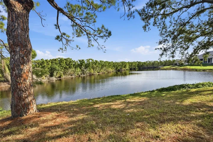 Across the lake from Robinson Preserve