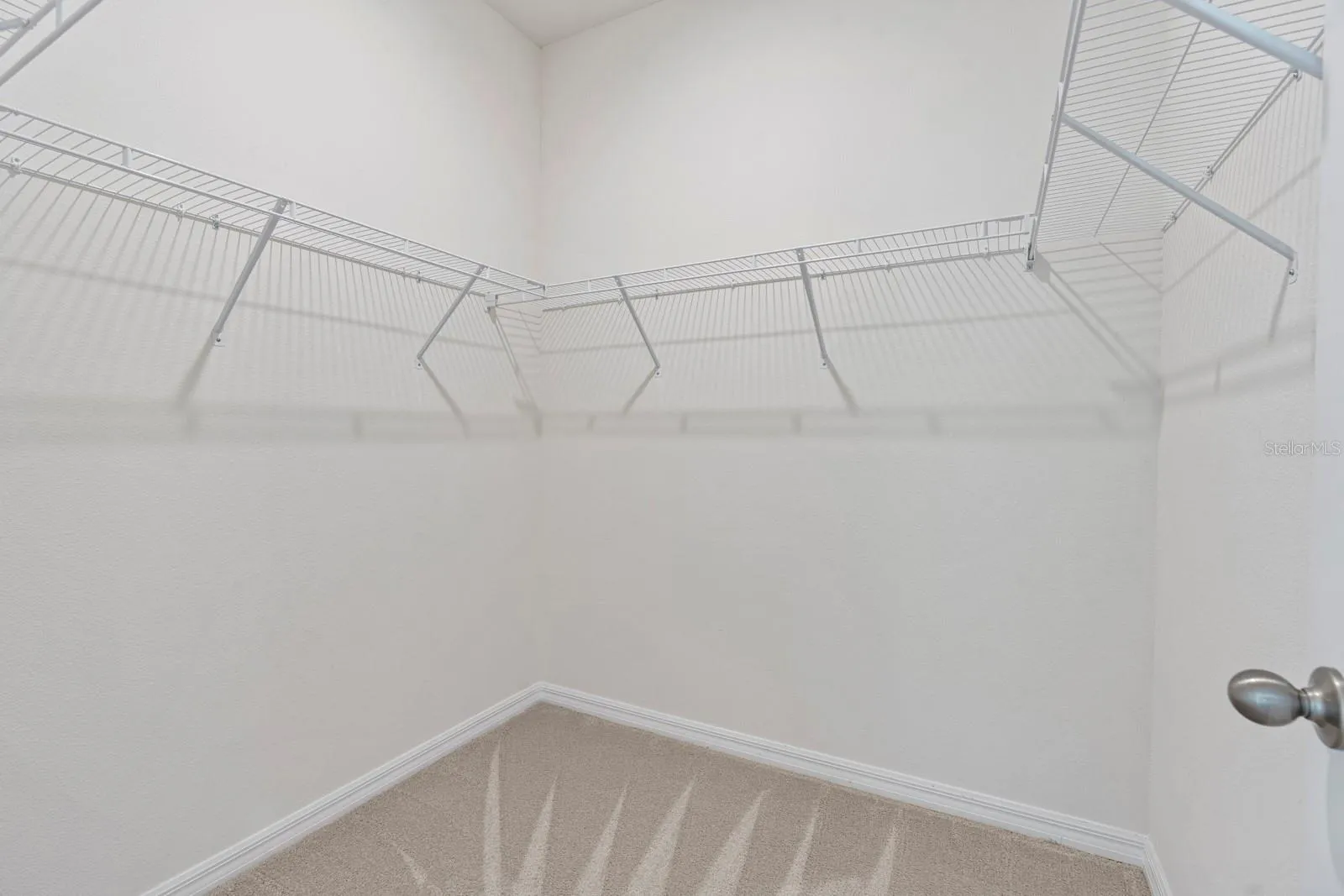 3507 Golden Wheat Ln, Plant City, Florida 33565 — photo 19