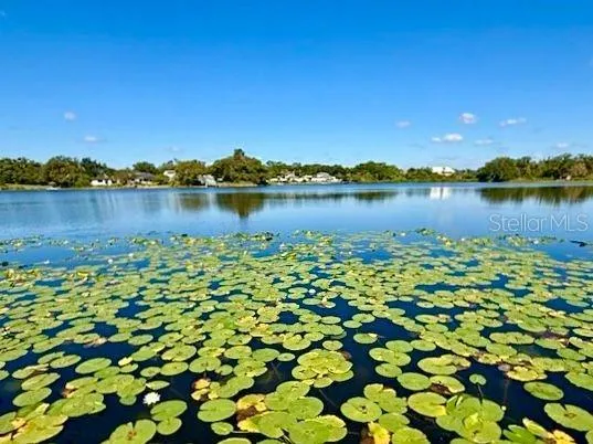 View from the Dock