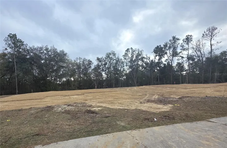 LOT 38 PRE-CONSTRUCTION
