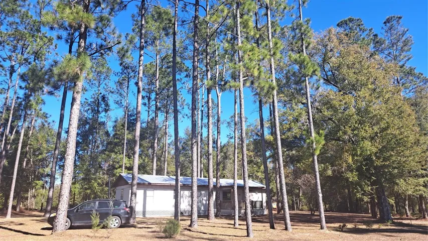 front view