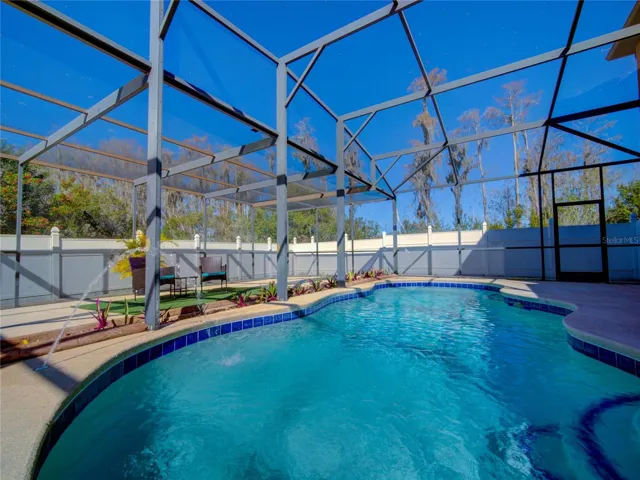 Pool and Backyard