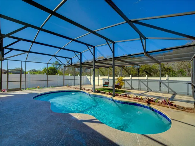 Pool and Backyard